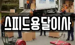 스피드용달이사