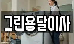 그린용달이사