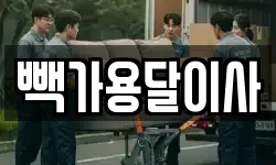 빽가용달이사