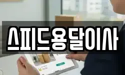 스피드용달이사