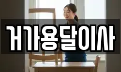 거가용달이사