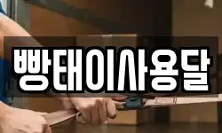 빵태이사용달