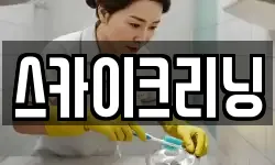 스카이크리닝