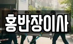 홍반장이사