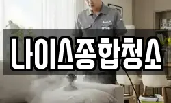 나이스종합청소