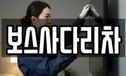 보스사다리차