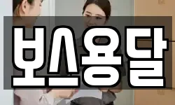 보스용달