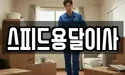 스피드용달이사