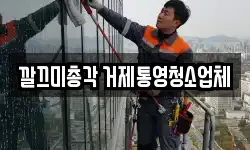 깔끄미총각 거제통영청소업체