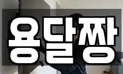 용달짱