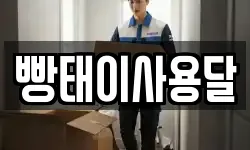 빵태이사용달