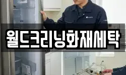월드크리닝화재세탁