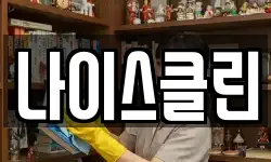 나이스클린
