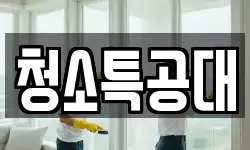 청소특공대