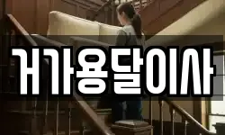 거가용달이사