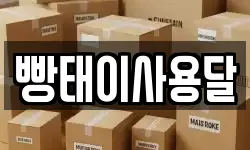 빵태이사용달