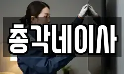 총각네이사
