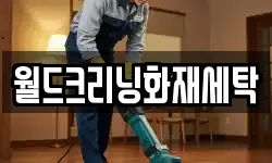 월드크리닝화재세탁