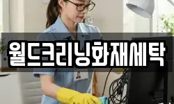 월드크리닝화재세탁