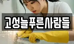 고성늘푸른사람들