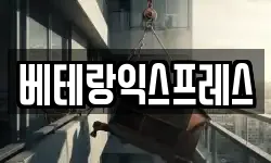 베테랑익스프레스