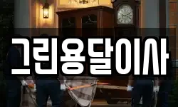 그린용달이사