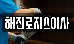 해진로지스이사