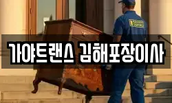 가야트랜스 김해포장이사