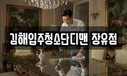 김해입주청소단디맨 장유점