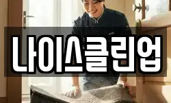 나이스클린업
