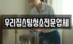 우리집스팀청소전문업체