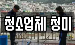 청소업체 청미