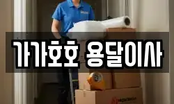 가가호호 용달이사