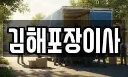 김해포장이사