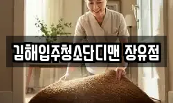 김해입주청소단디맨 장유점