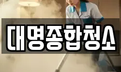 대명종합청소