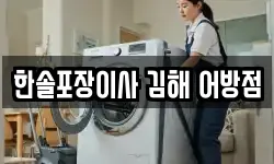 한솔포장이사 김해 어방점