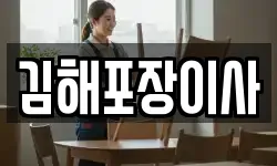 김해포장이사