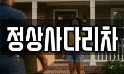 정상사다리차