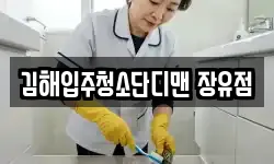 김해입주청소단디맨 장유점