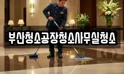 부산청소공장청소사무실청소
