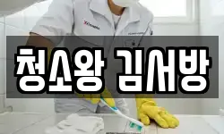 청소왕 김서방