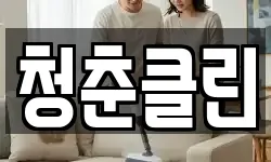 청춘클린