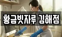황금빗자루 김해점