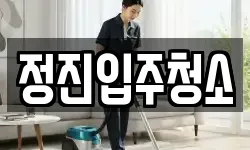 정진입주청소