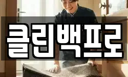 클린백프로