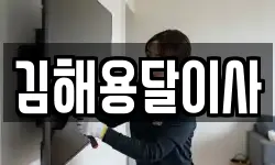 김해용달이사