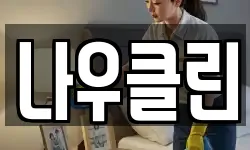 나우클린