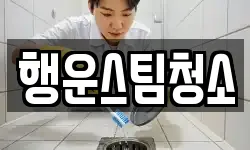 행운스팀청소