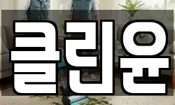 클린윤